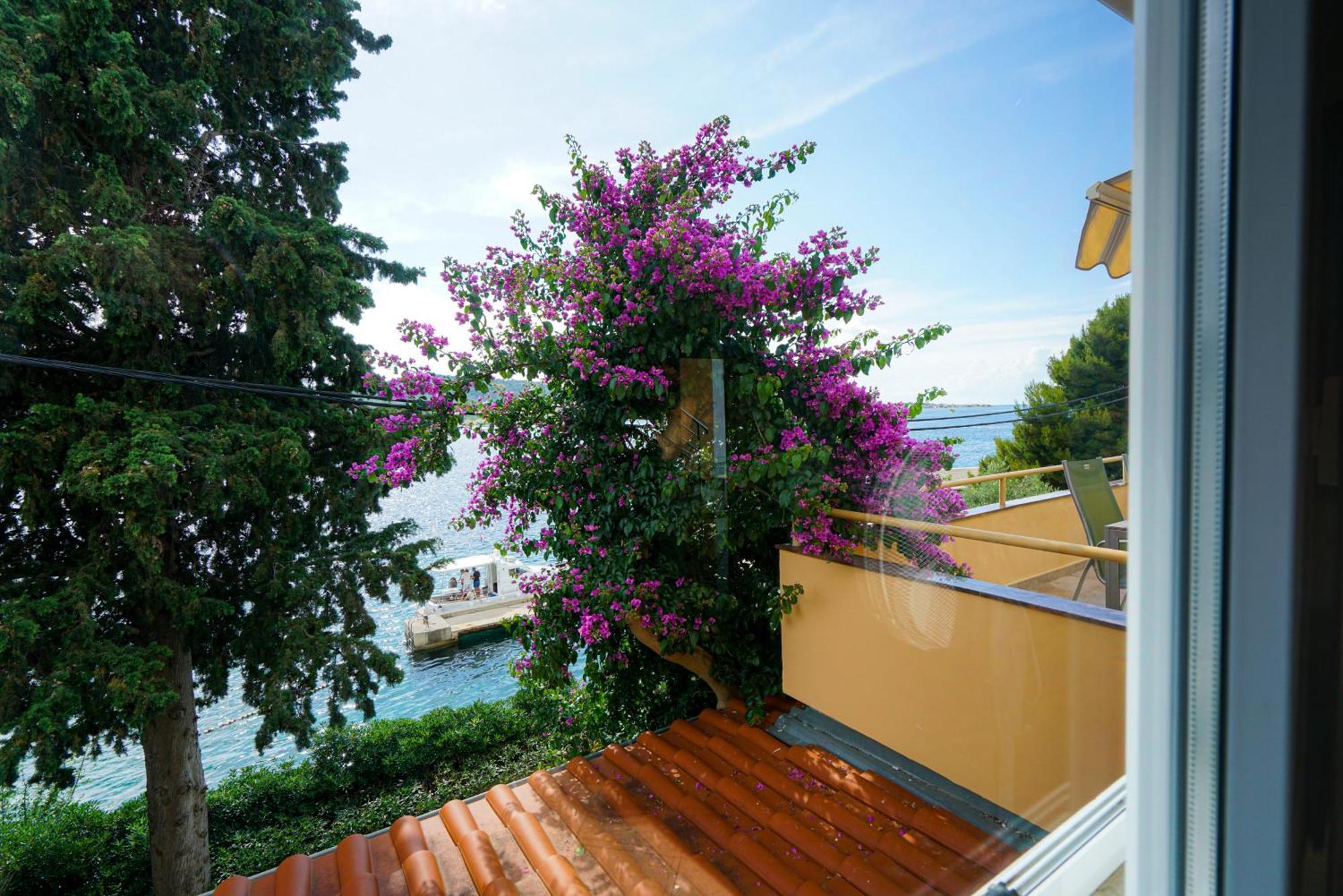 Apartments Osljak Preko Zewnętrze zdjęcie
